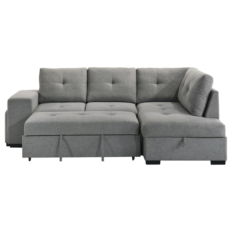Roanne Pull-Out Sleeper Sectional Sofa
