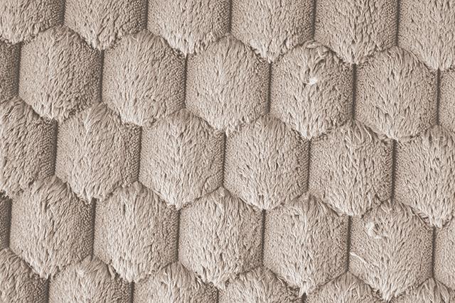 Ferryhill 2-Arm Chaise